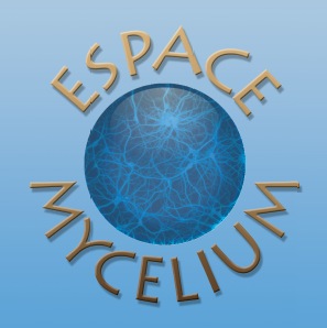 logo mycelium